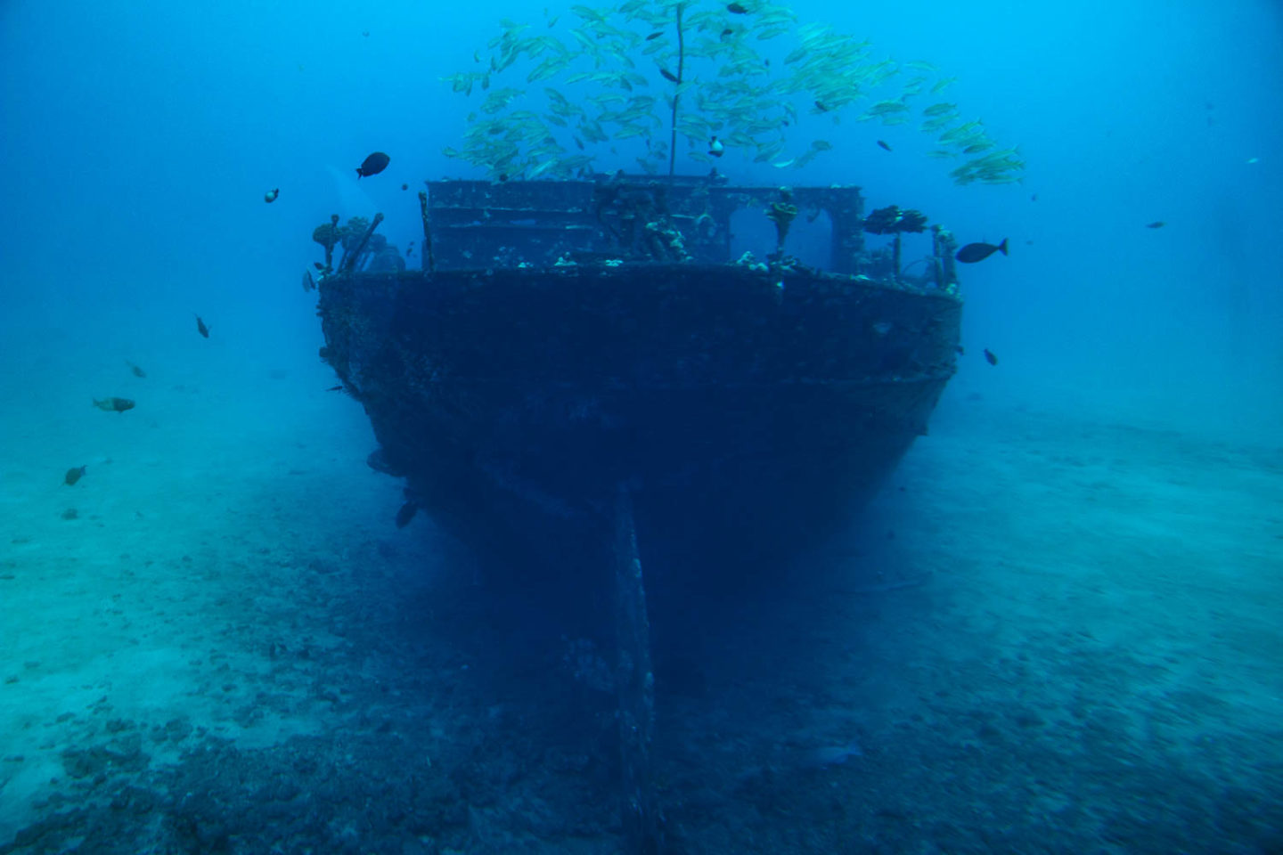 Underwater world of Maui - Roads and Destinations