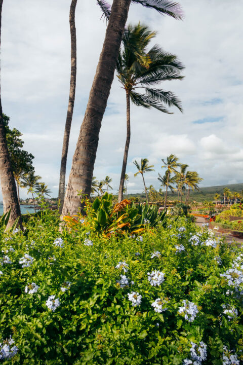 Maluaka Beach - Roads and Destinations