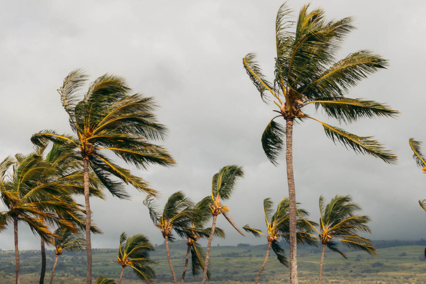 Hawaii - Roads and Destinations