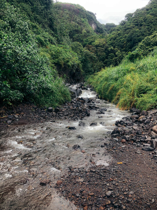 Drive the Road to Hana during the rainy season - Roads and Destinations