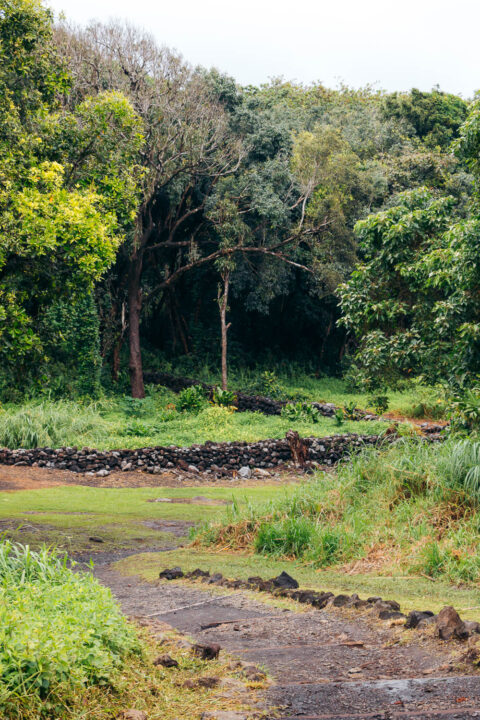 Maui - Roads and Destinations