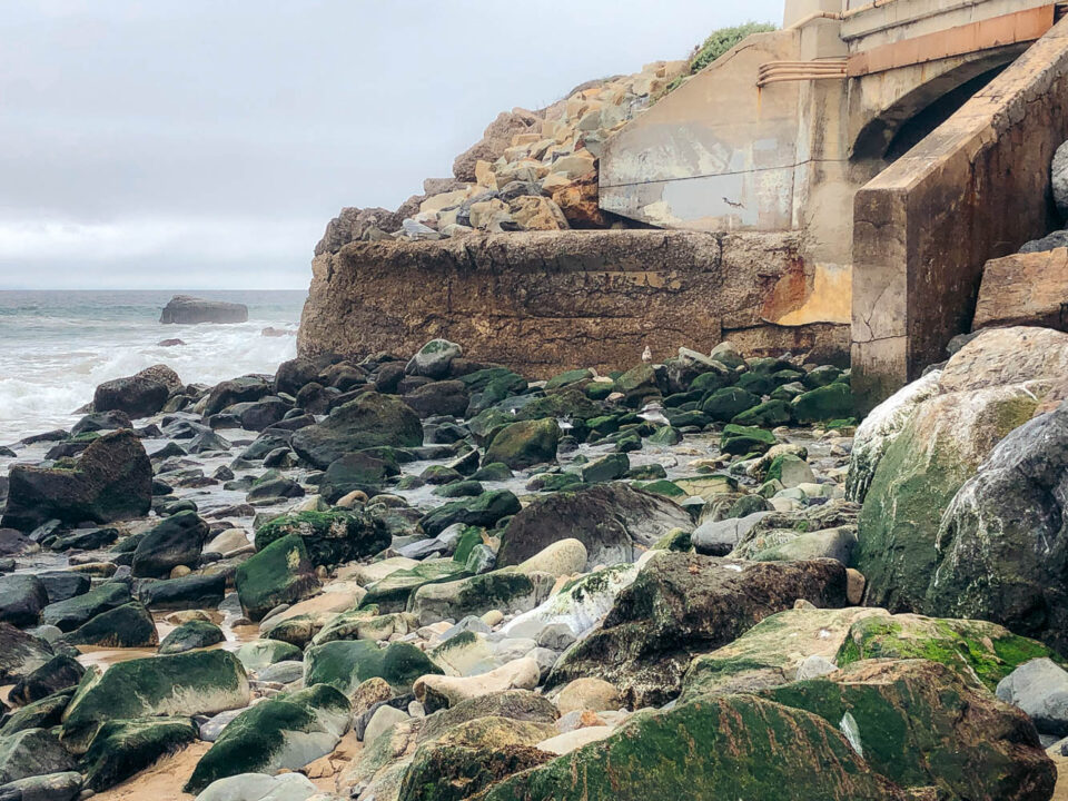 Barbecue at Sycamore Cove Beach, Malibu - Roads and Destinations