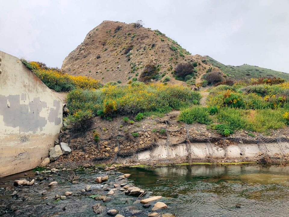 Sycamore Canyon - Roads and Destinations