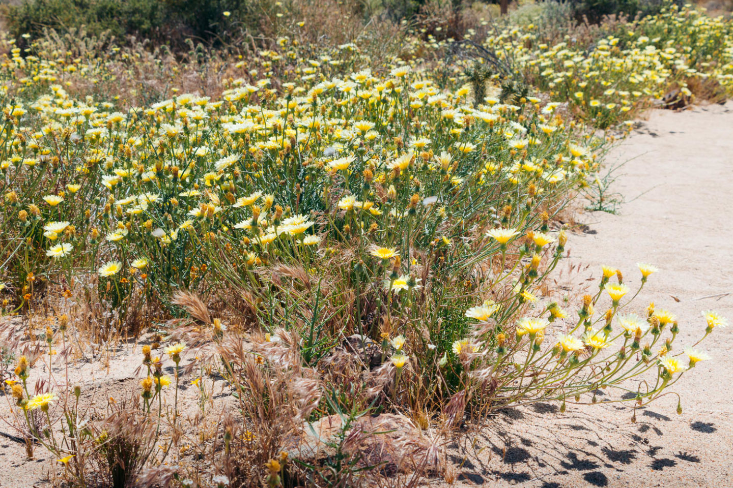 Hiking in Red Rock Canyon State Park, California - Roads and Destinations