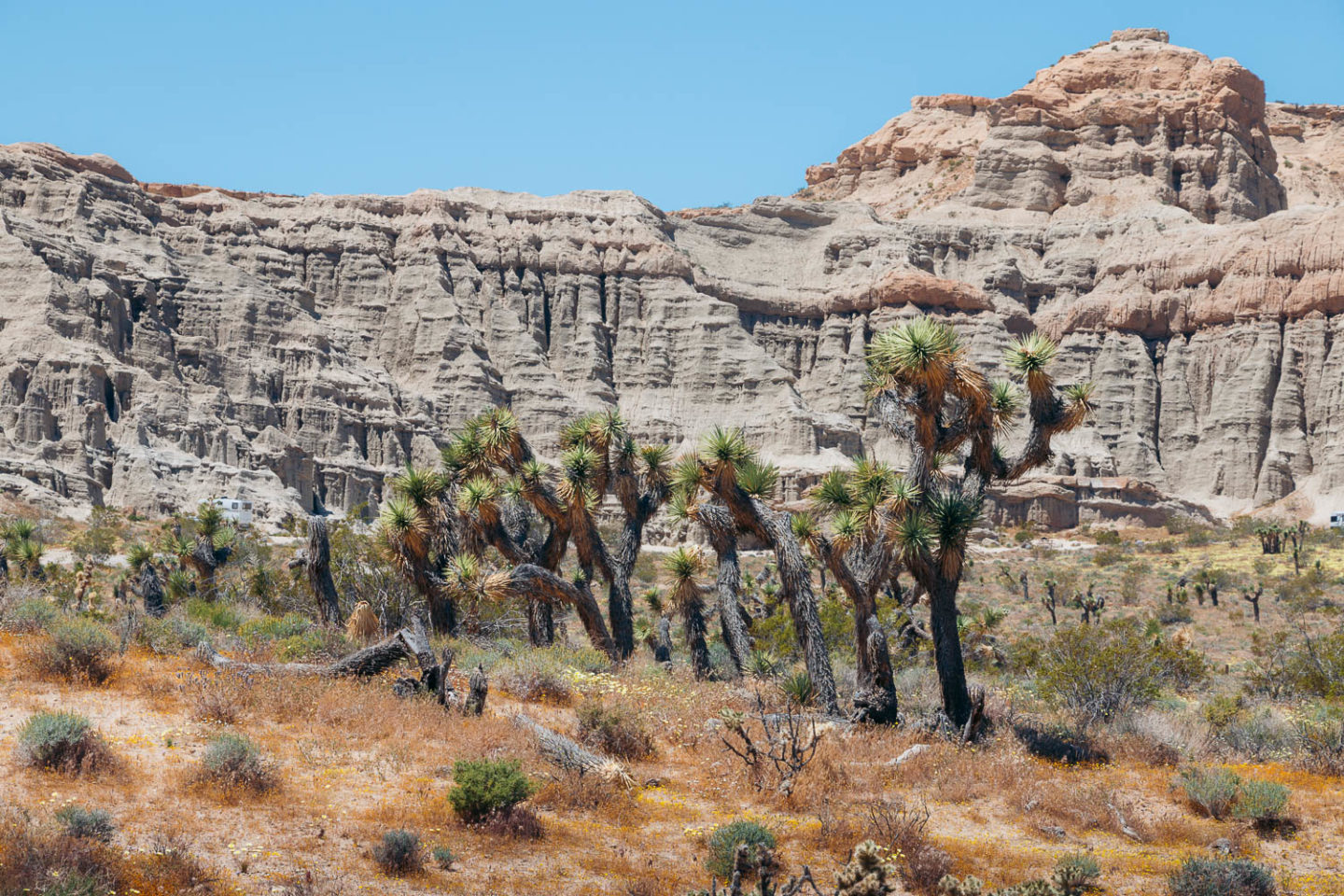 Hiking in Red Rock Canyon State Park, California - Roads and Destinations