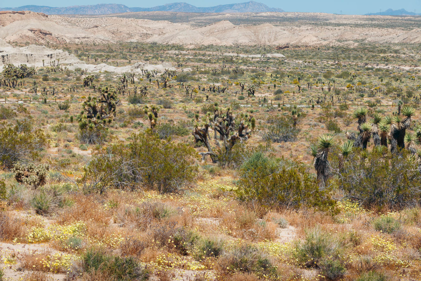 Hiking in Red Rock Canyon State Park, California - Roads and Destinations