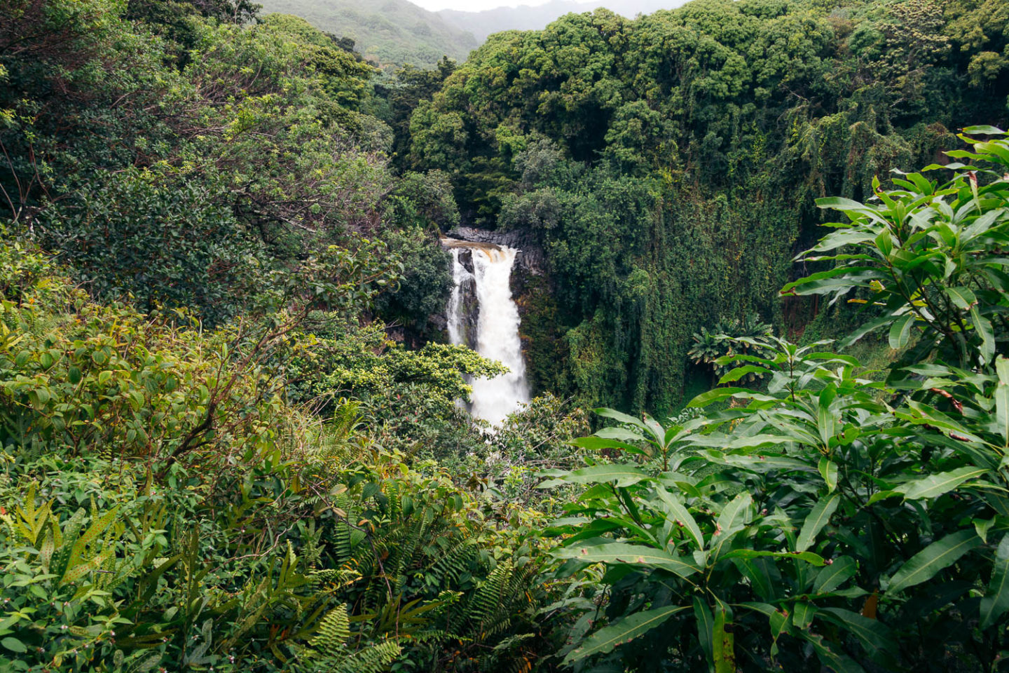 The Falls of Makahiku - Roads and Destinations