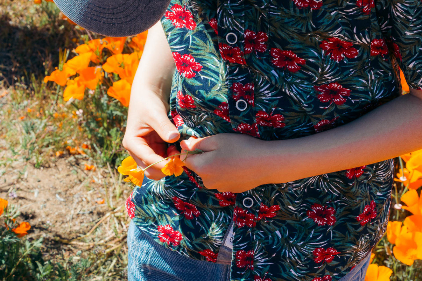 Why we never visit Antelope Valley California Poppy Reserve - Roads and Destinations