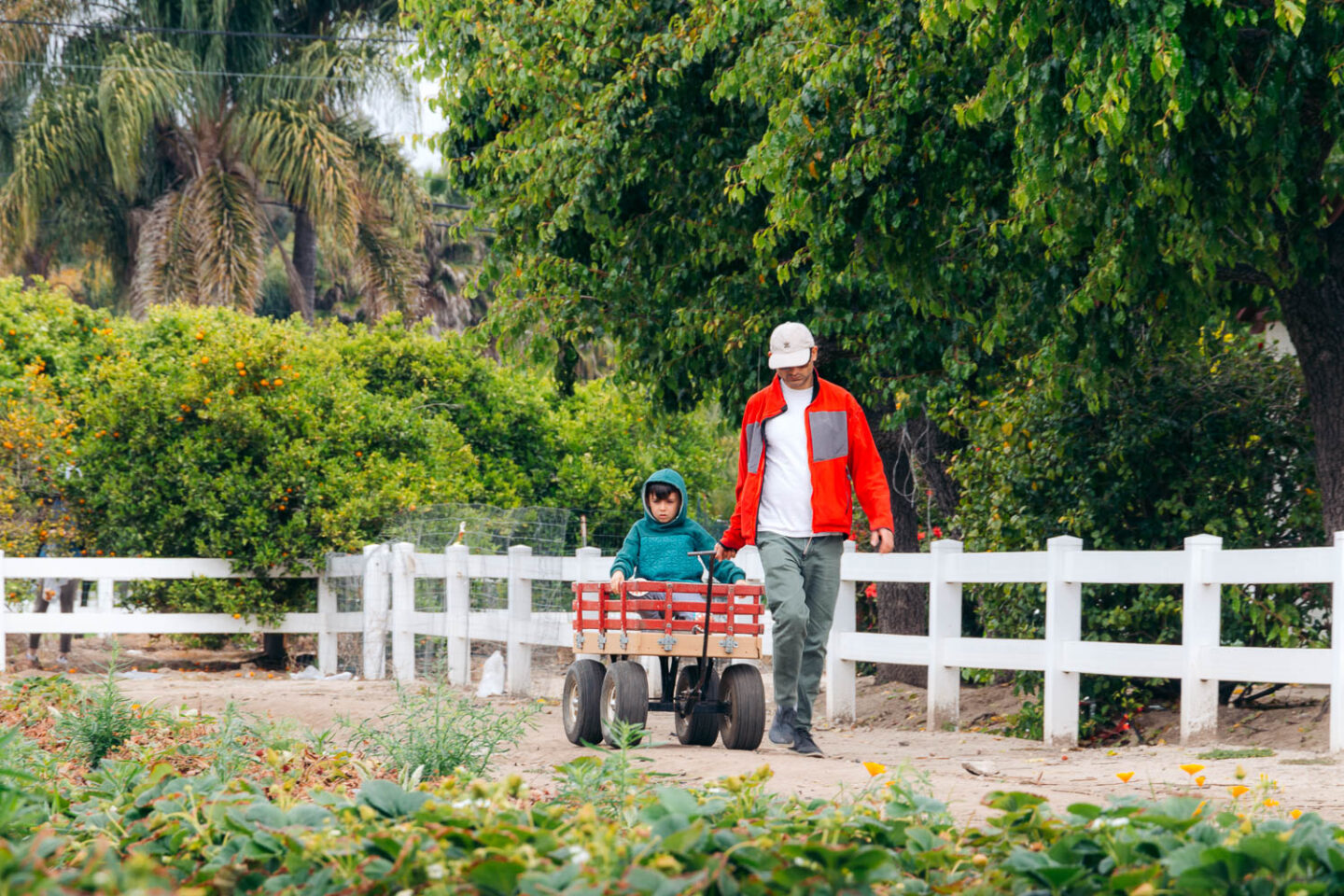 Underwood Family Farms - Roads and Destinations