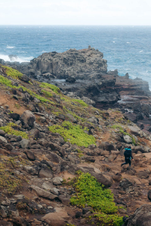 Nakalele Blowhole, Maui - Roads and Destinations 