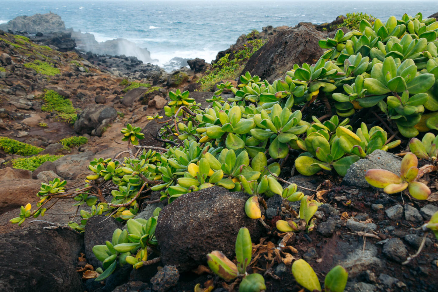 Maui - Roads and Destinations 