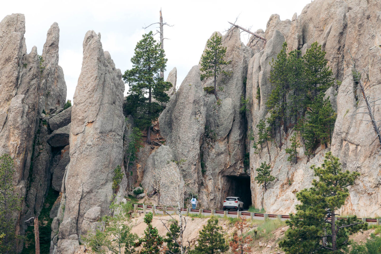 Custer State Park one-day itinerary - Roads and Destinations