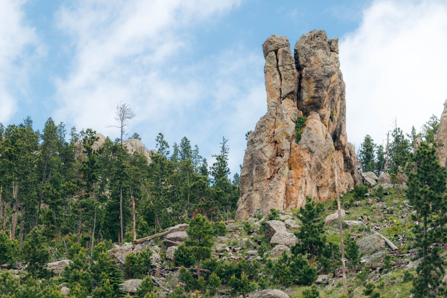 Custer State Park one-day itinerary - Roads and Destinations