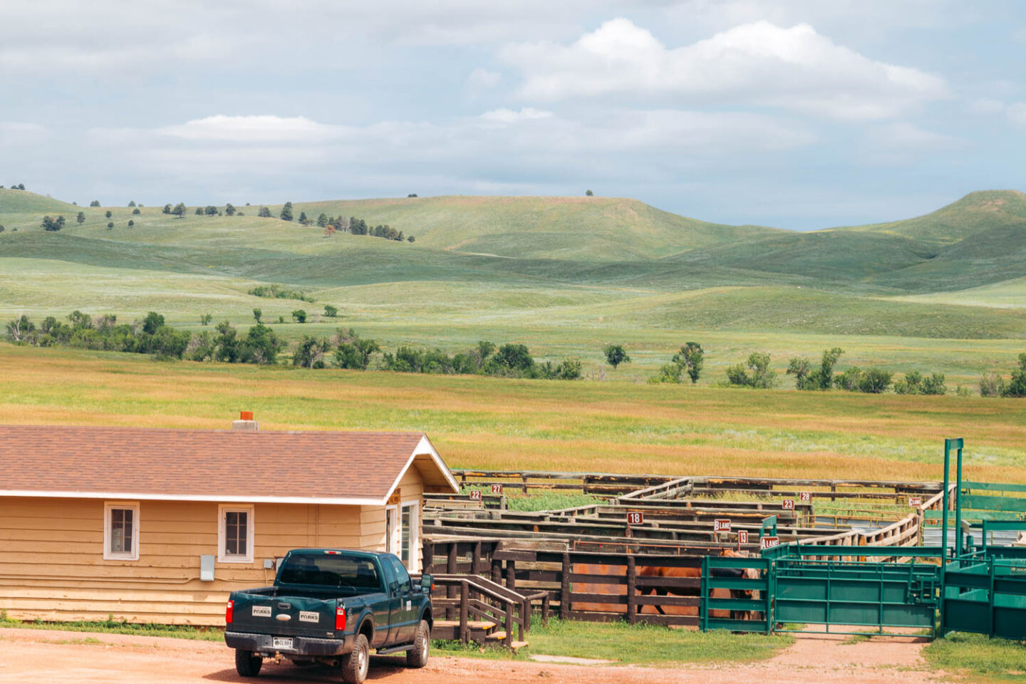 Custer State Park one-day itinerary - Roads and Destinations