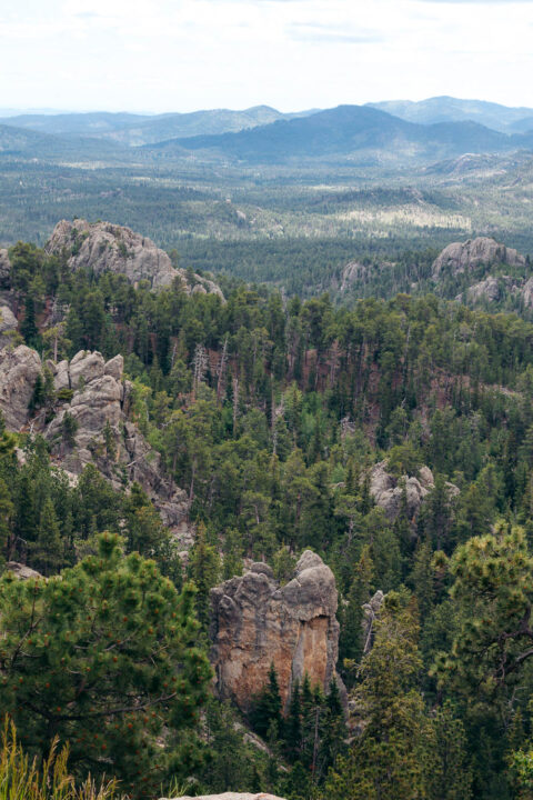 Custer State Park one-day itinerary - Roads and Destinations