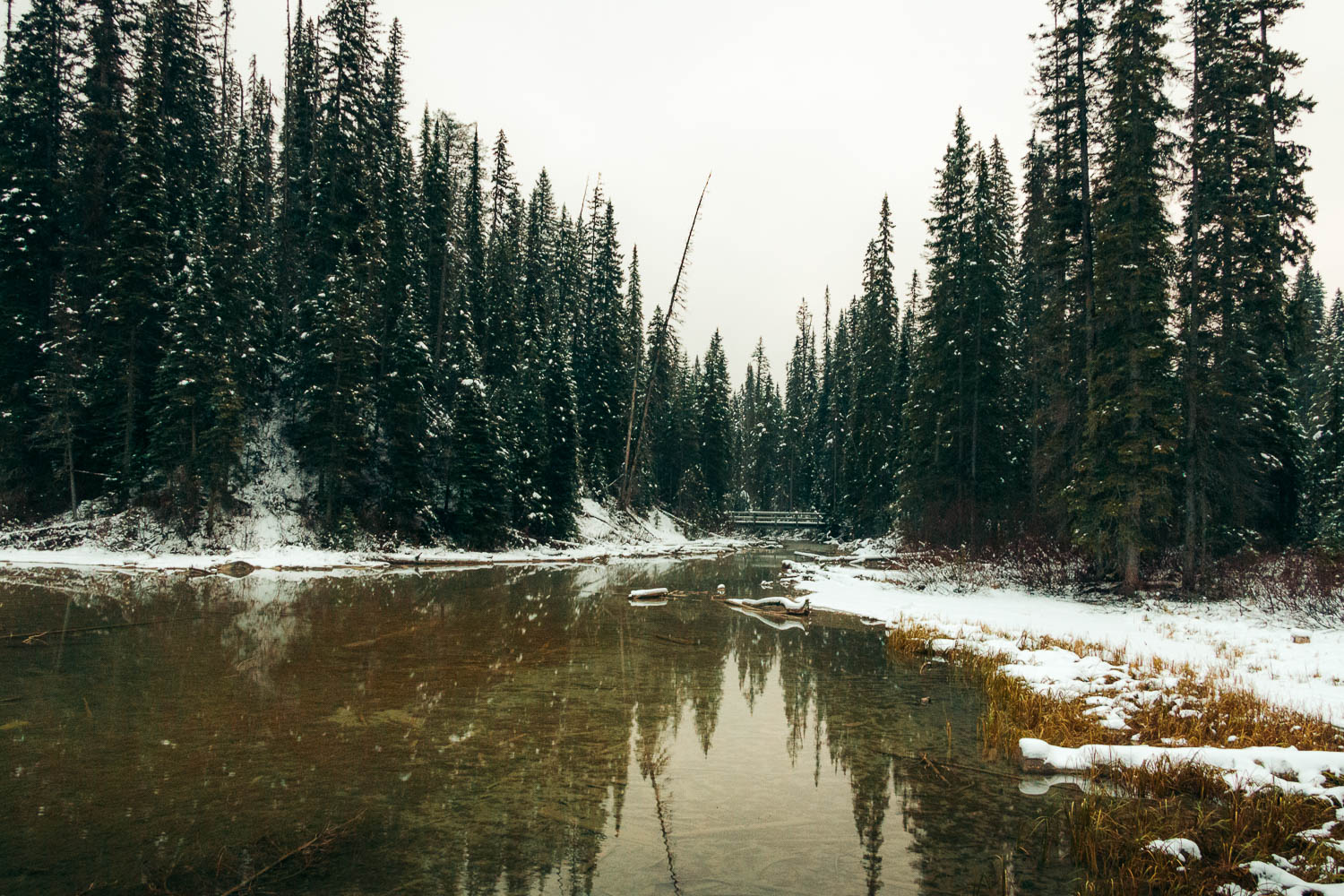 Yoho National Park in winter - Roads and Destinations