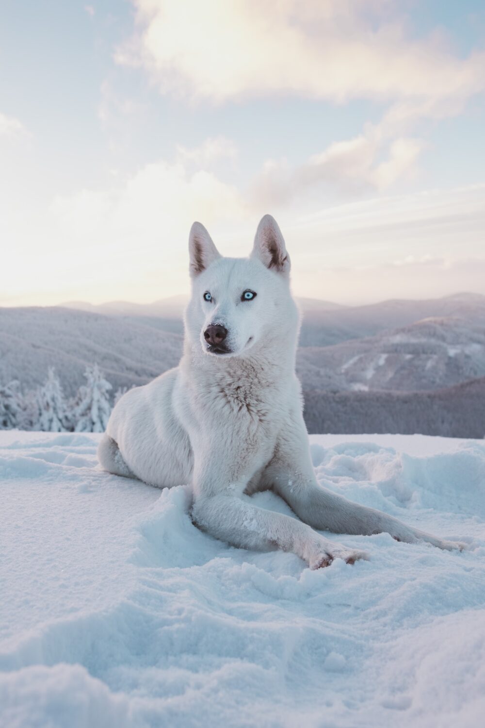 Books about Alaska - Roads and Destinations