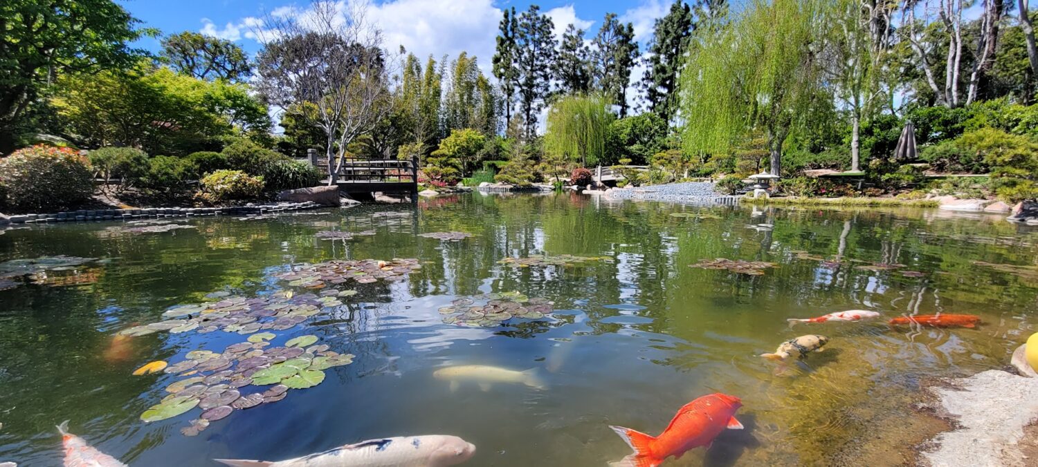 Earl Burns Miller Japanese Garden | Roads and Destinations