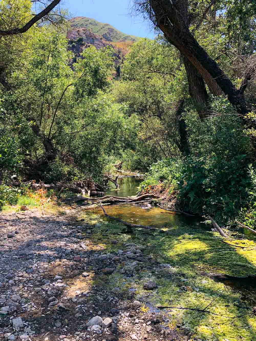 Malibu Creek State Park | Roads and Destinations