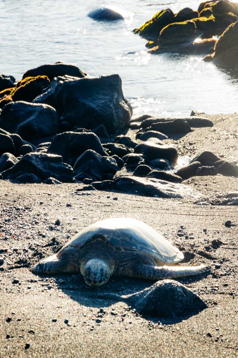 11 Things to Do on the Big Island of Hawaii (Grand Circle) - Roads and ...