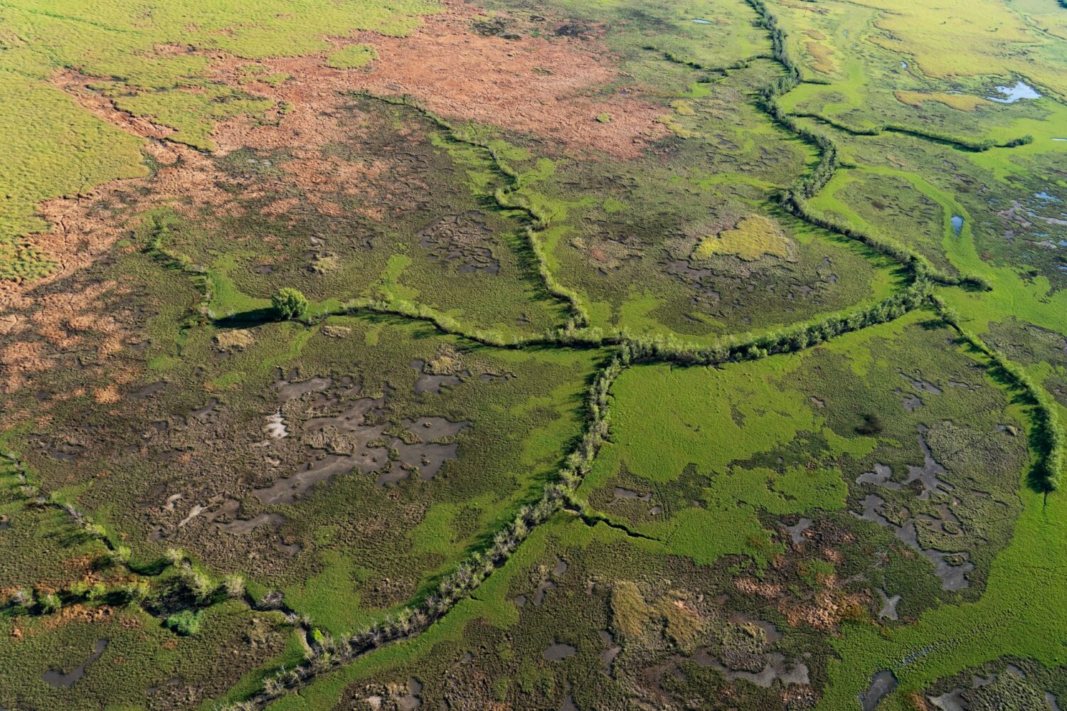 Lesser-known safari destinations outside of Africa | Roads and Destinations