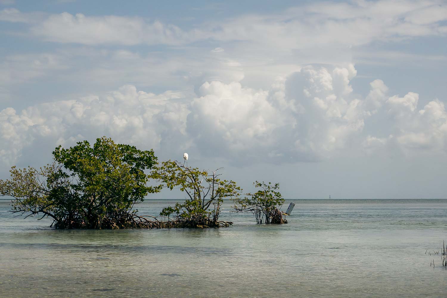 Biscayne National Park | Roads and Destinations