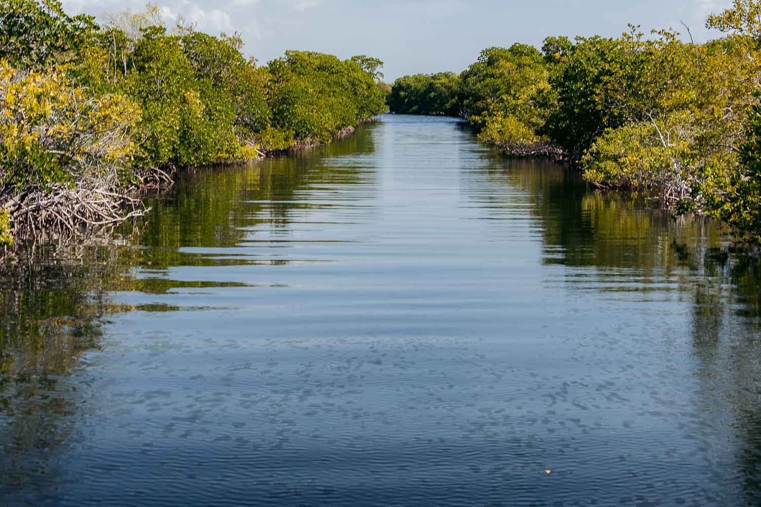 Biscayne National Park | Roads and Destinations