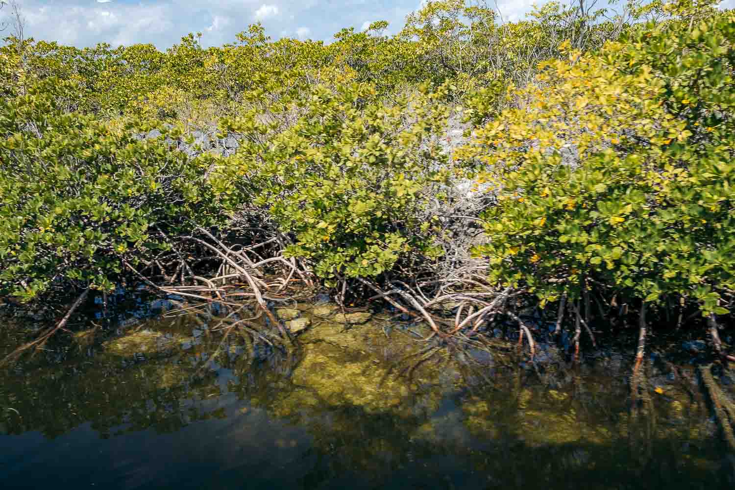 Biscayne National Park | Roads and Destinations