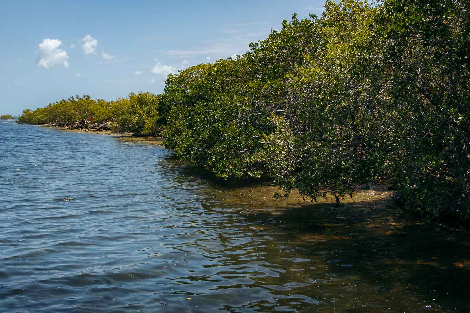 Florida | Roads and Destinations