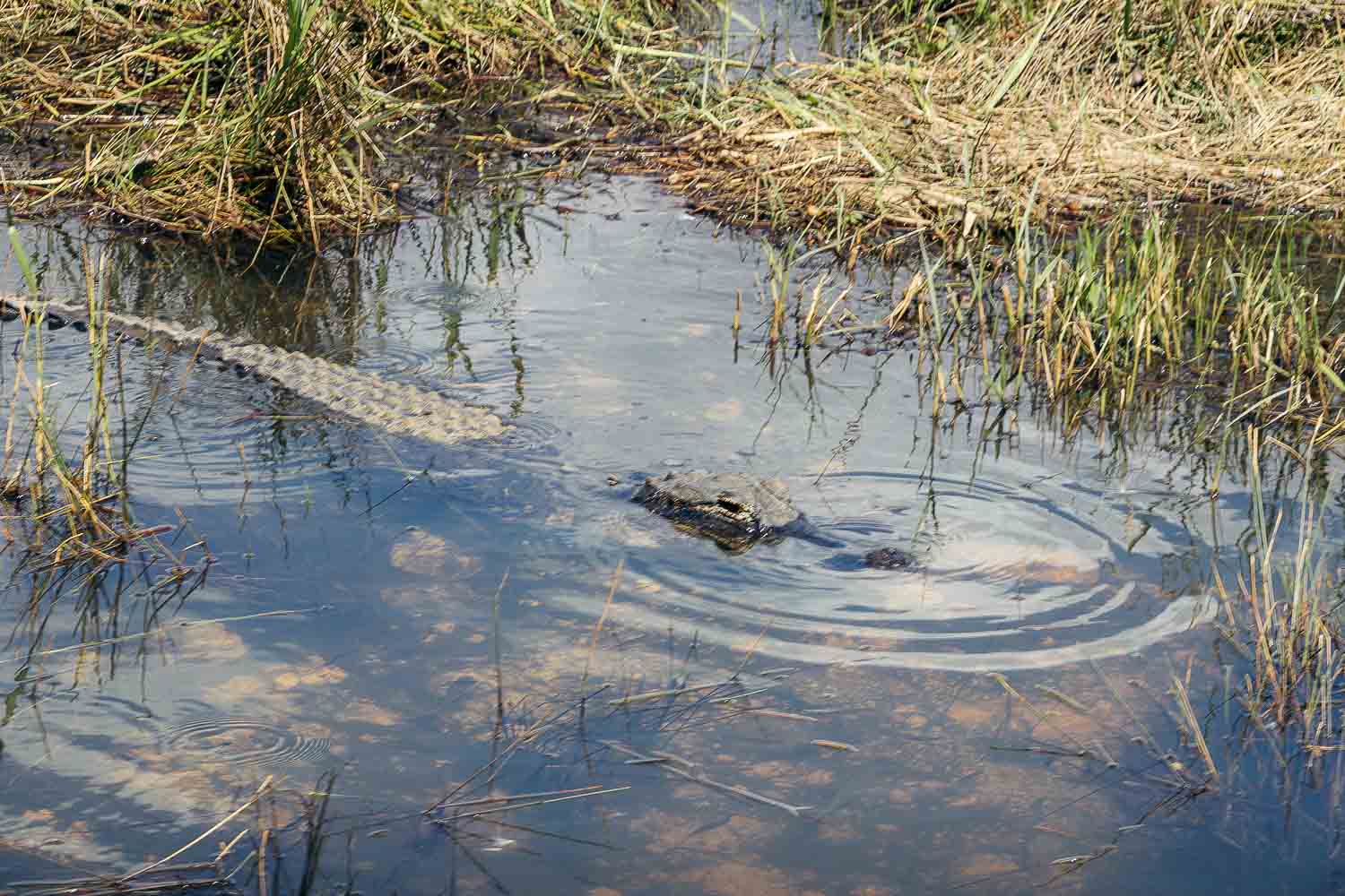 Everglades National Park | Roads and Destinations