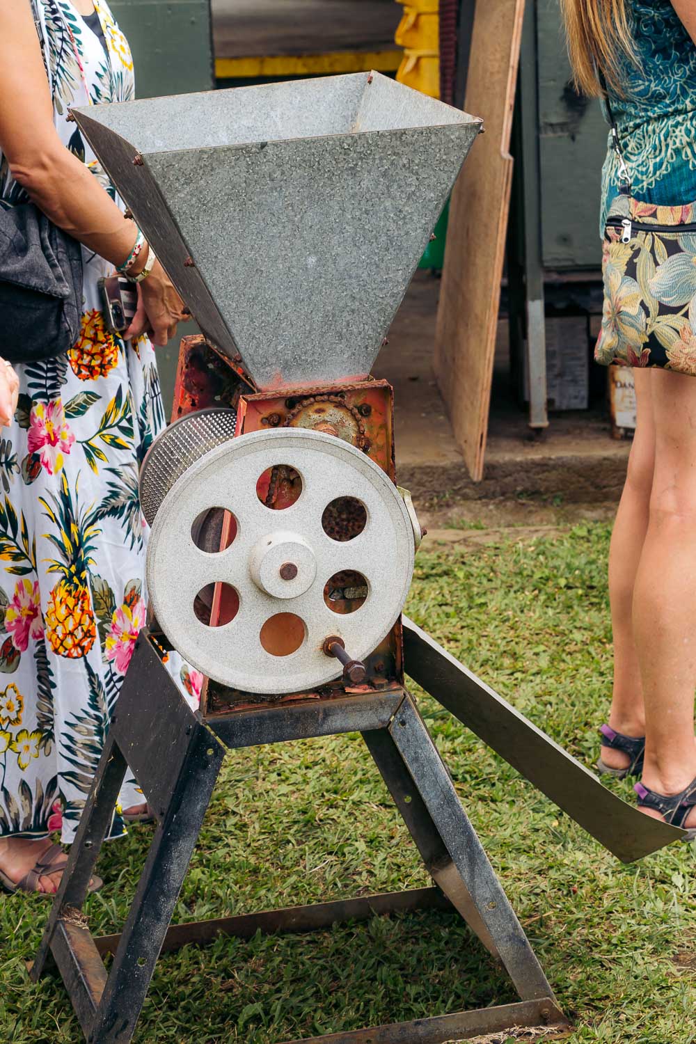 Greenwell Farms - Kona Coffee Farm Tour on the Big Island | Roads and Destinations