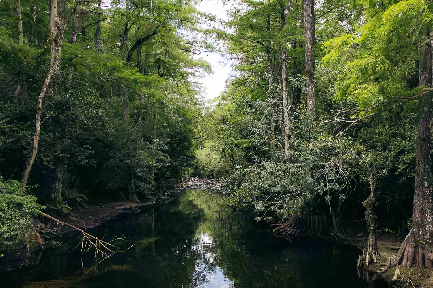 Everglades National Park | Roads and Destinations