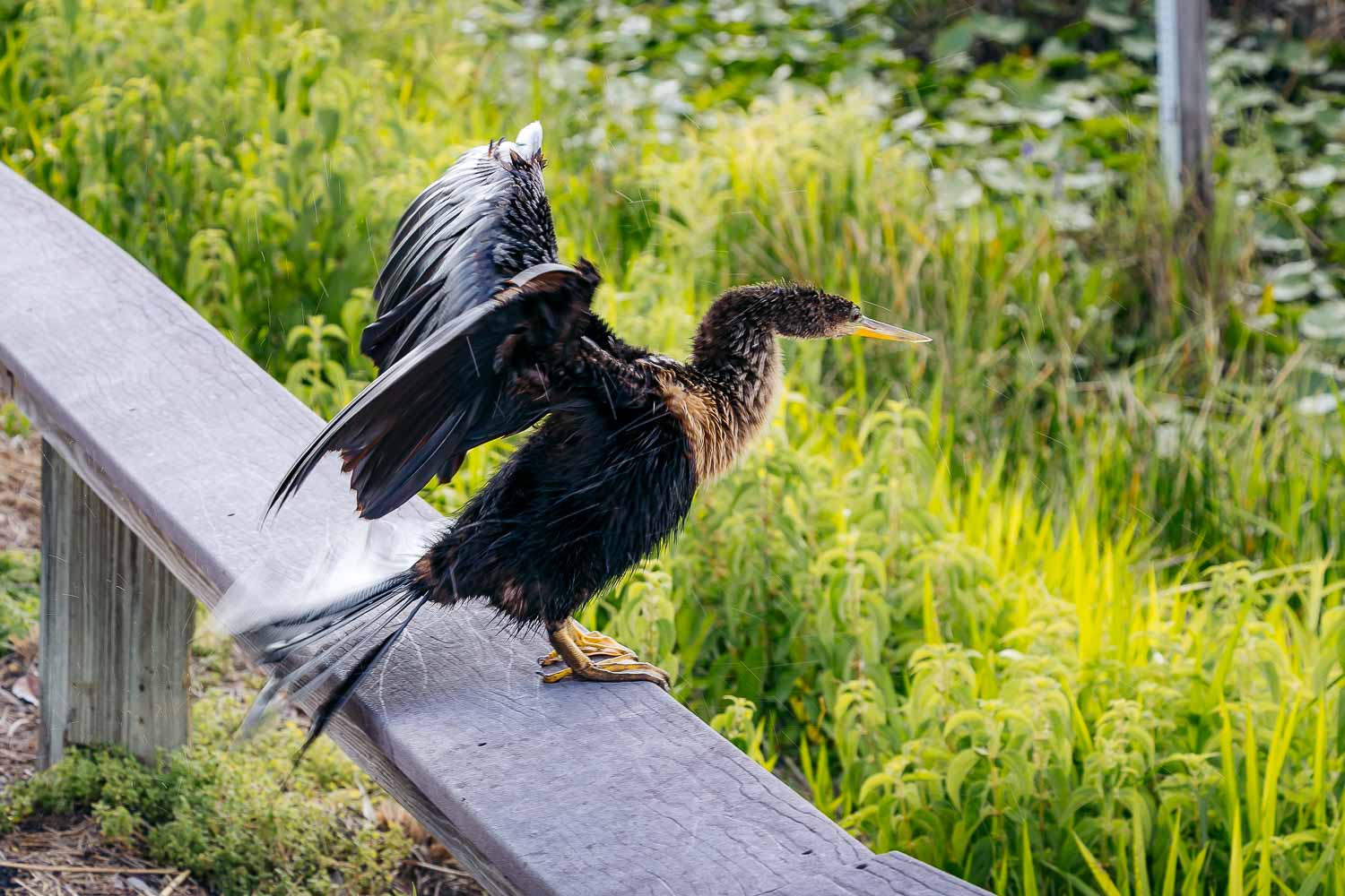 Everglades National Park | Roads and Destinations