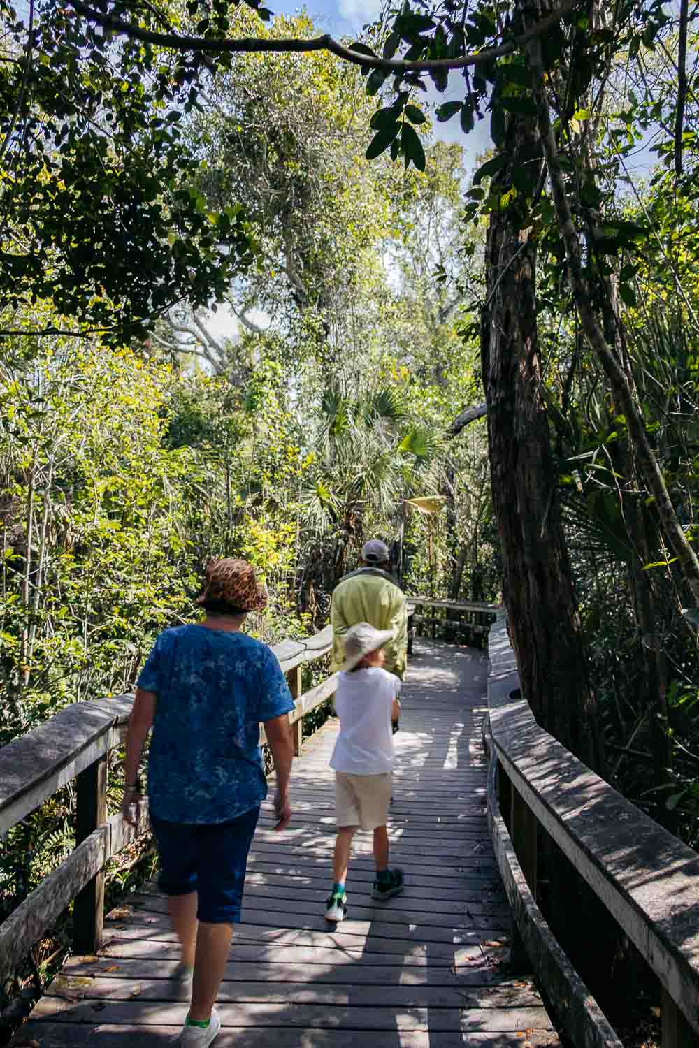 Everglades National Park | Roads and Destinations