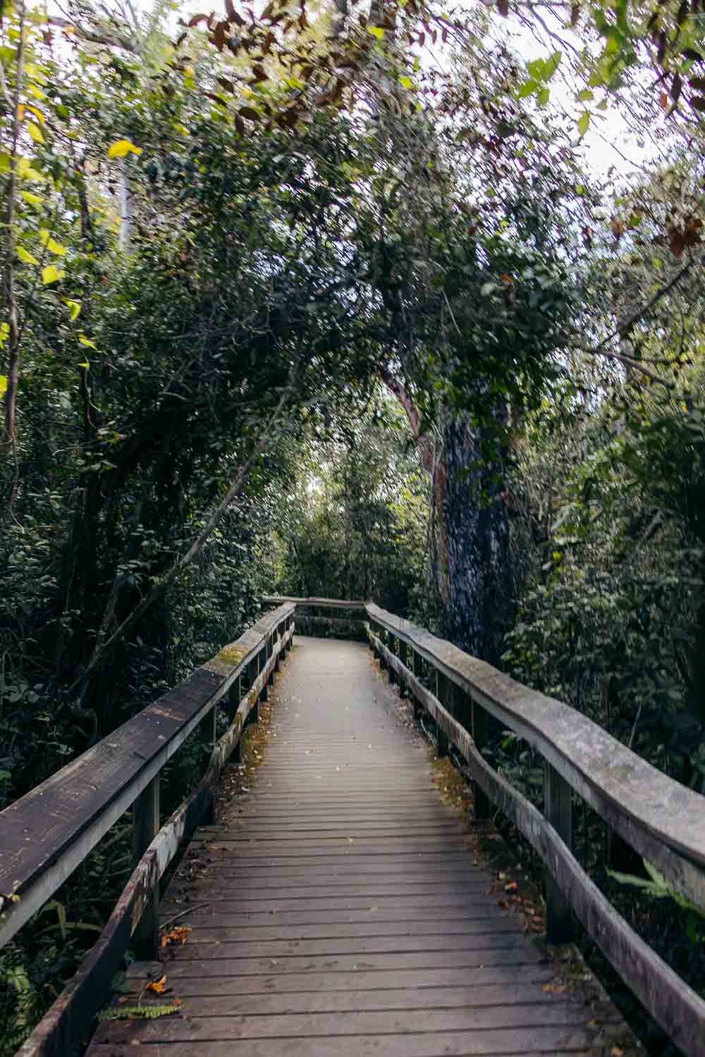 Everglades National Park | Roads and Destinations