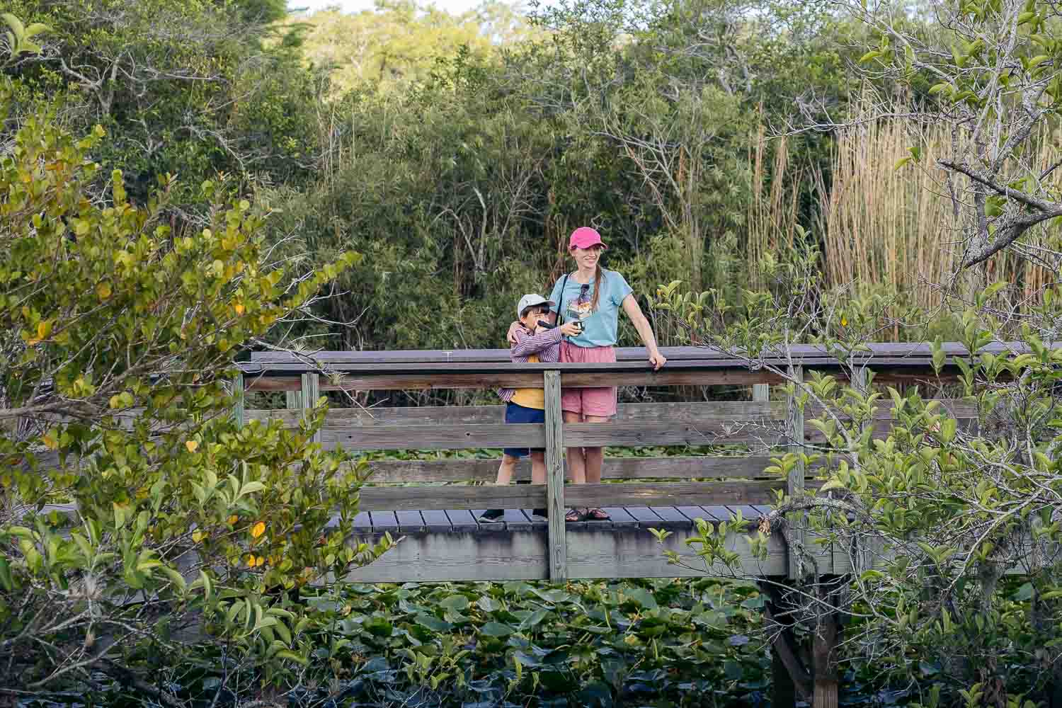 Anhinga Trail | Roads and Destinations