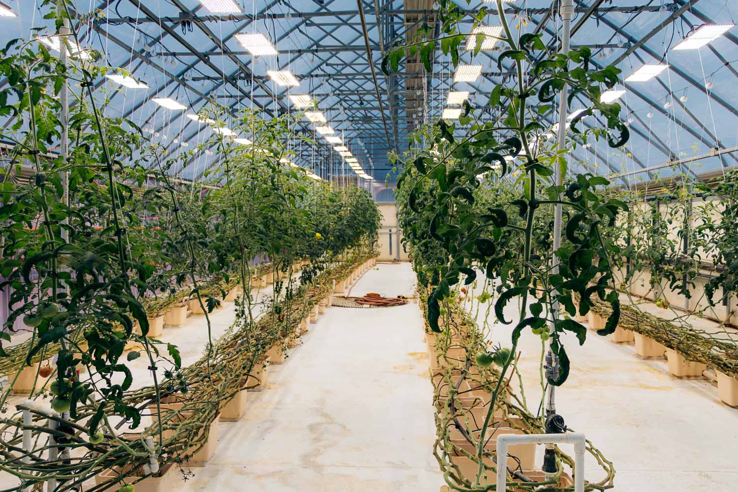 3-day Fairbanks itinerary | Roads and Destinations