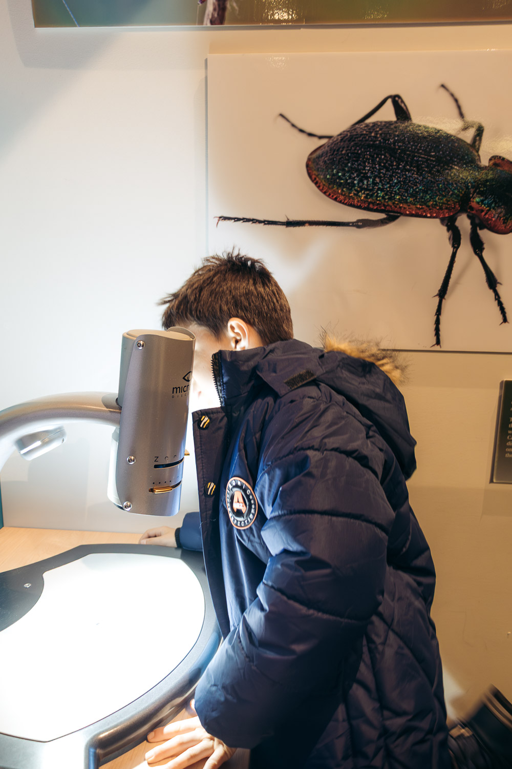 Alaska | Roads and Destinations