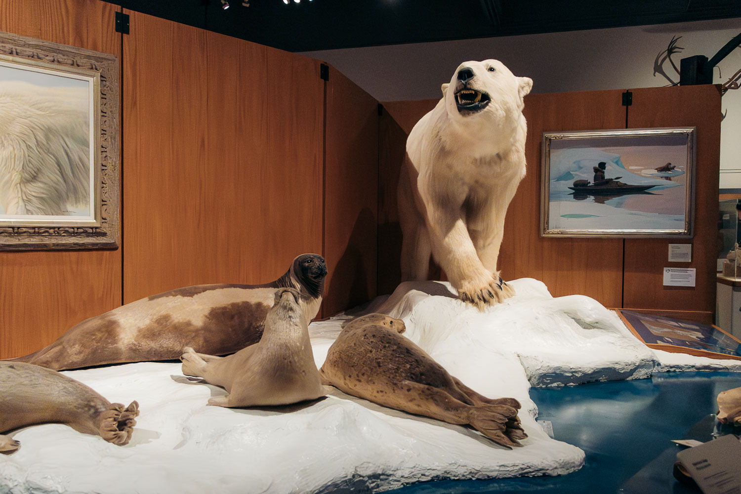 Alaska, The Museum of the North | Roads and Destinations