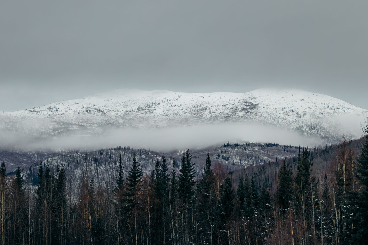Books about Alaska | Roads and Destinations