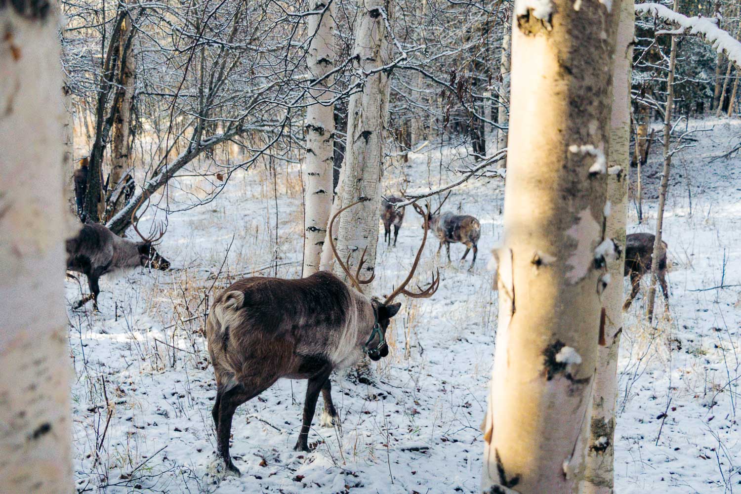 Books about Alaska | Roads and Destinations