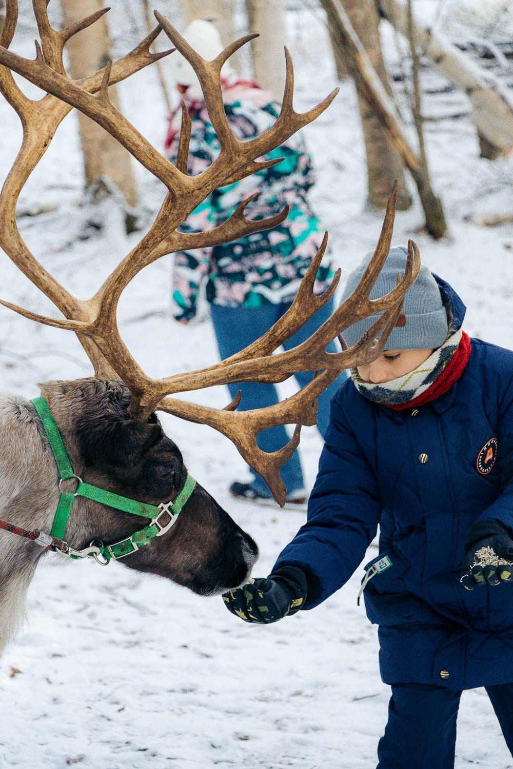 Running Reindeer Ranch | Roads and Destinations