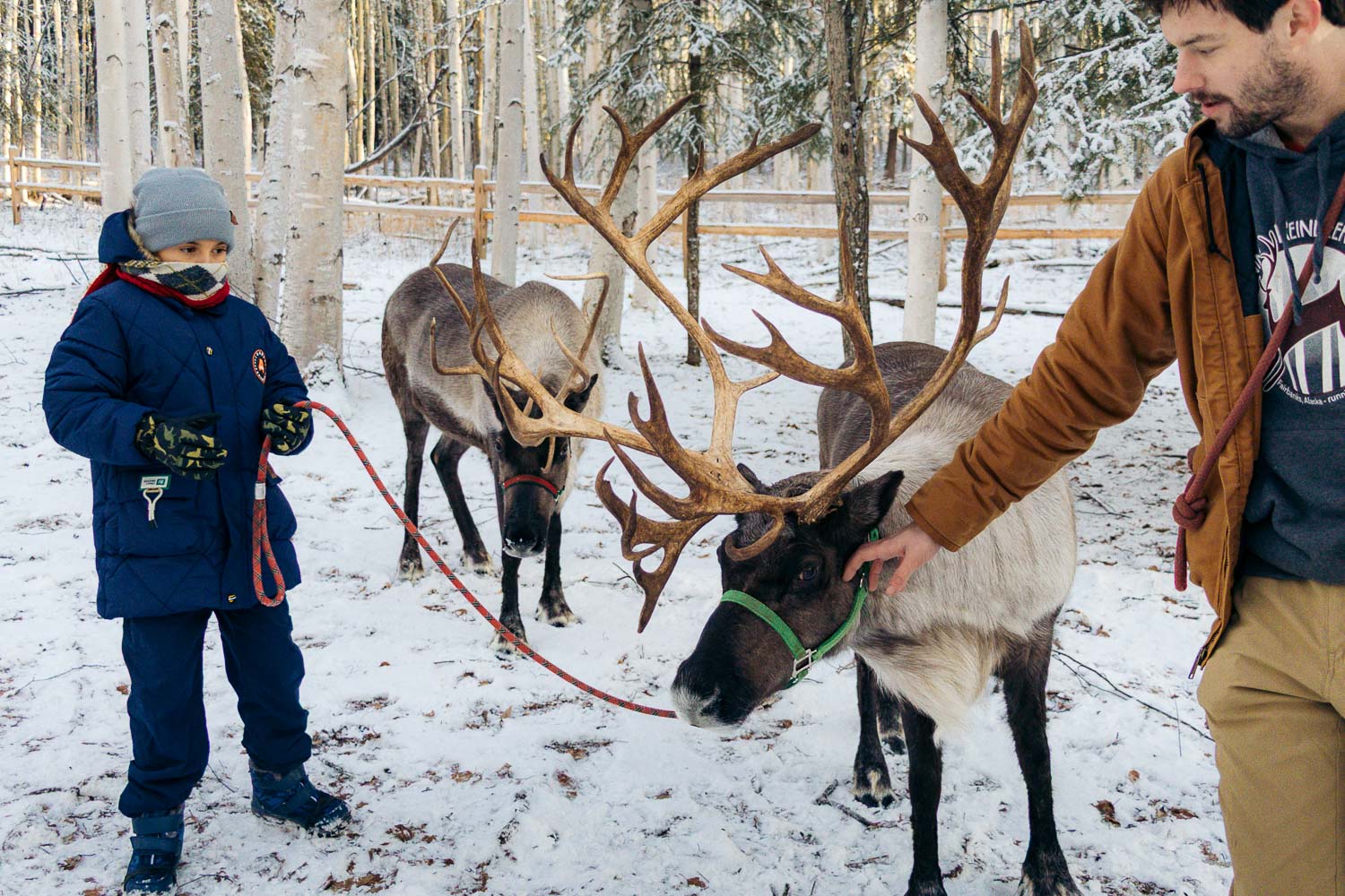 Running Reindeer Ranch | Roads and Destinations