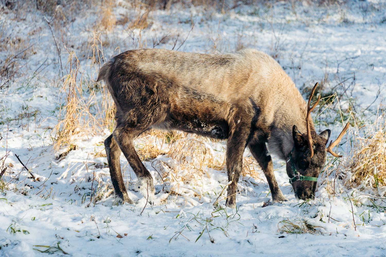 Alaska | Roads and Destinations