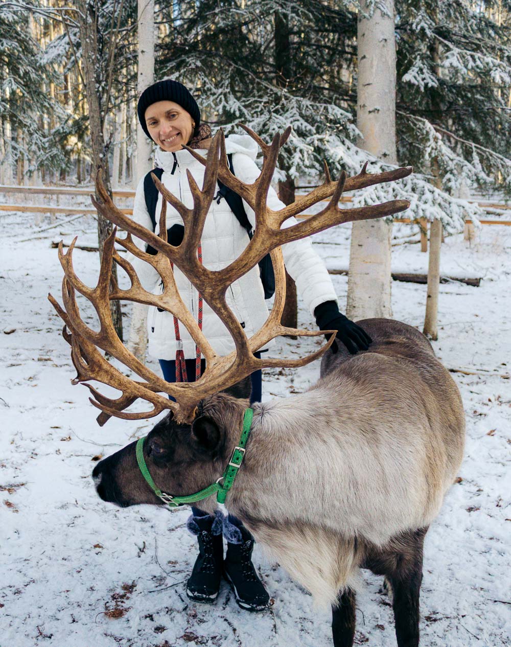 Alaska | Roads and Destinations