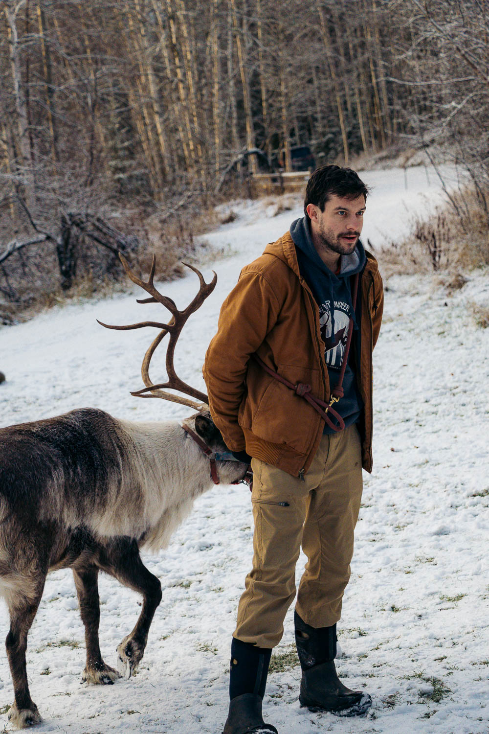 Running Reindeer Ranch | Roads and Destinations