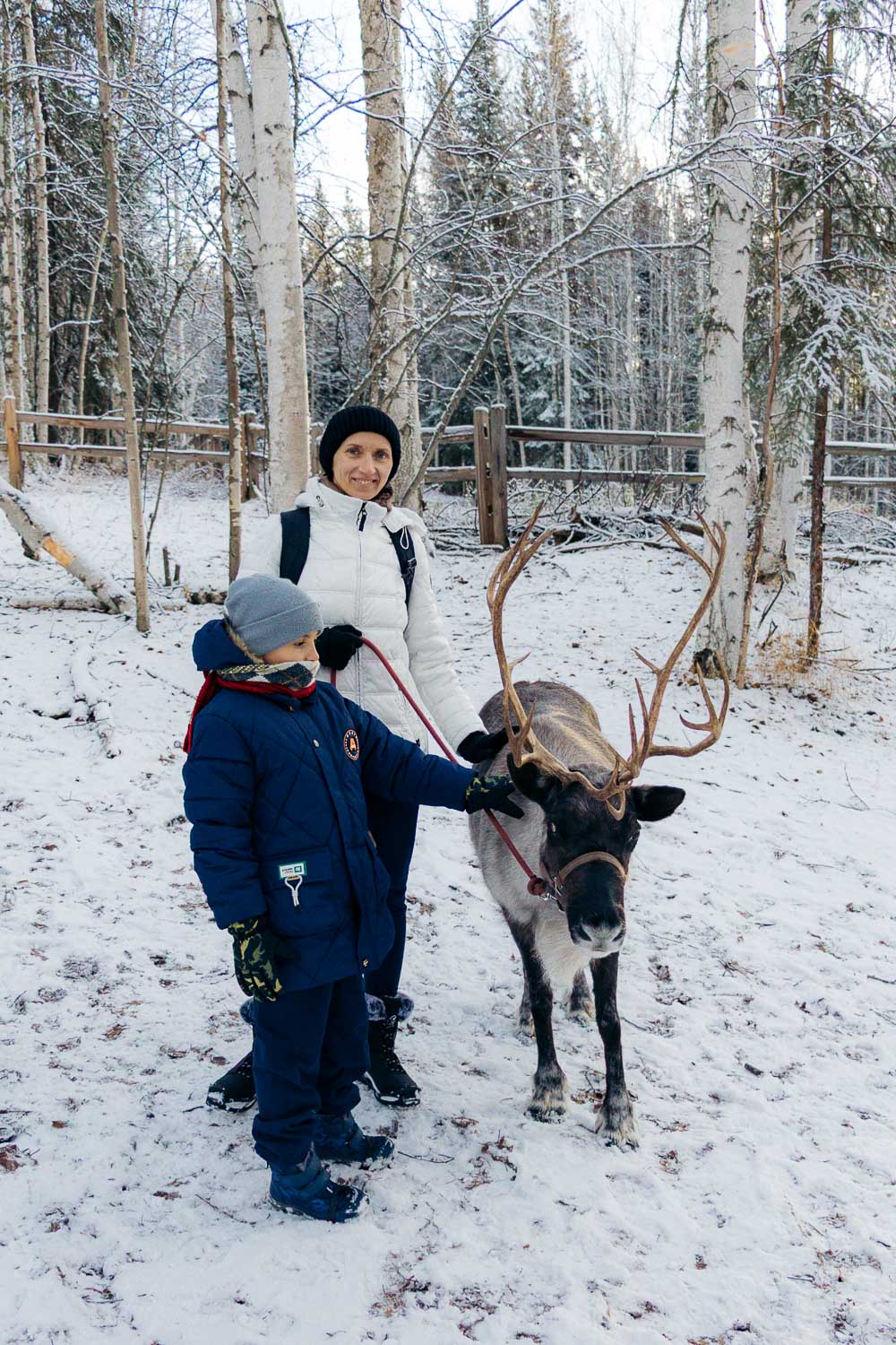 Alaska | Roads and Destinations