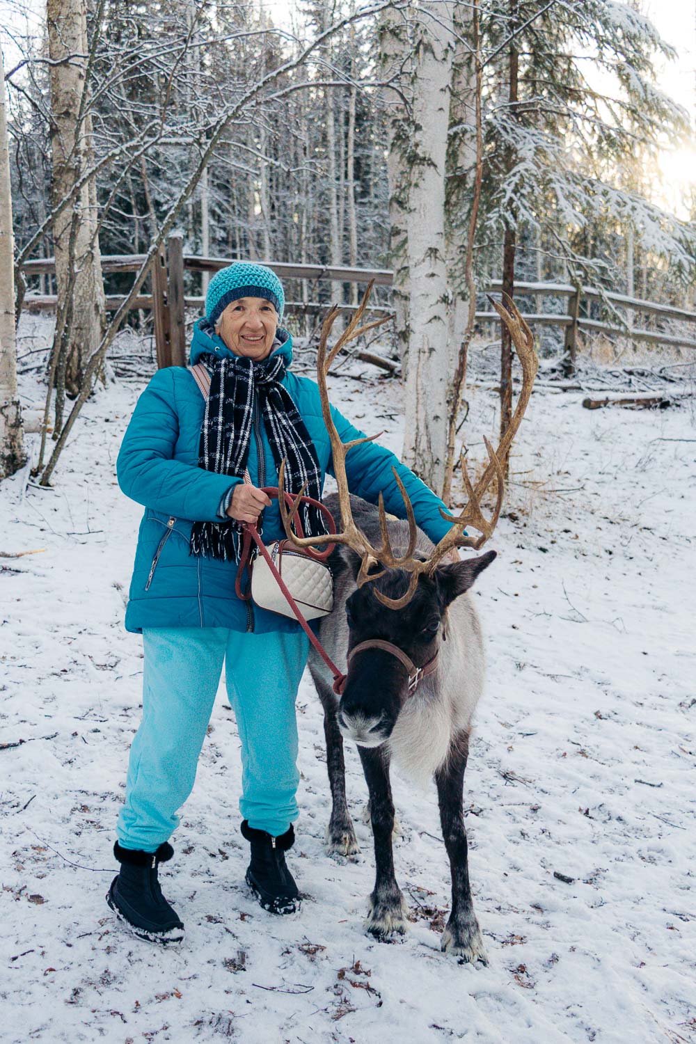 Running Reindeer Ranch | Roads and Destinations