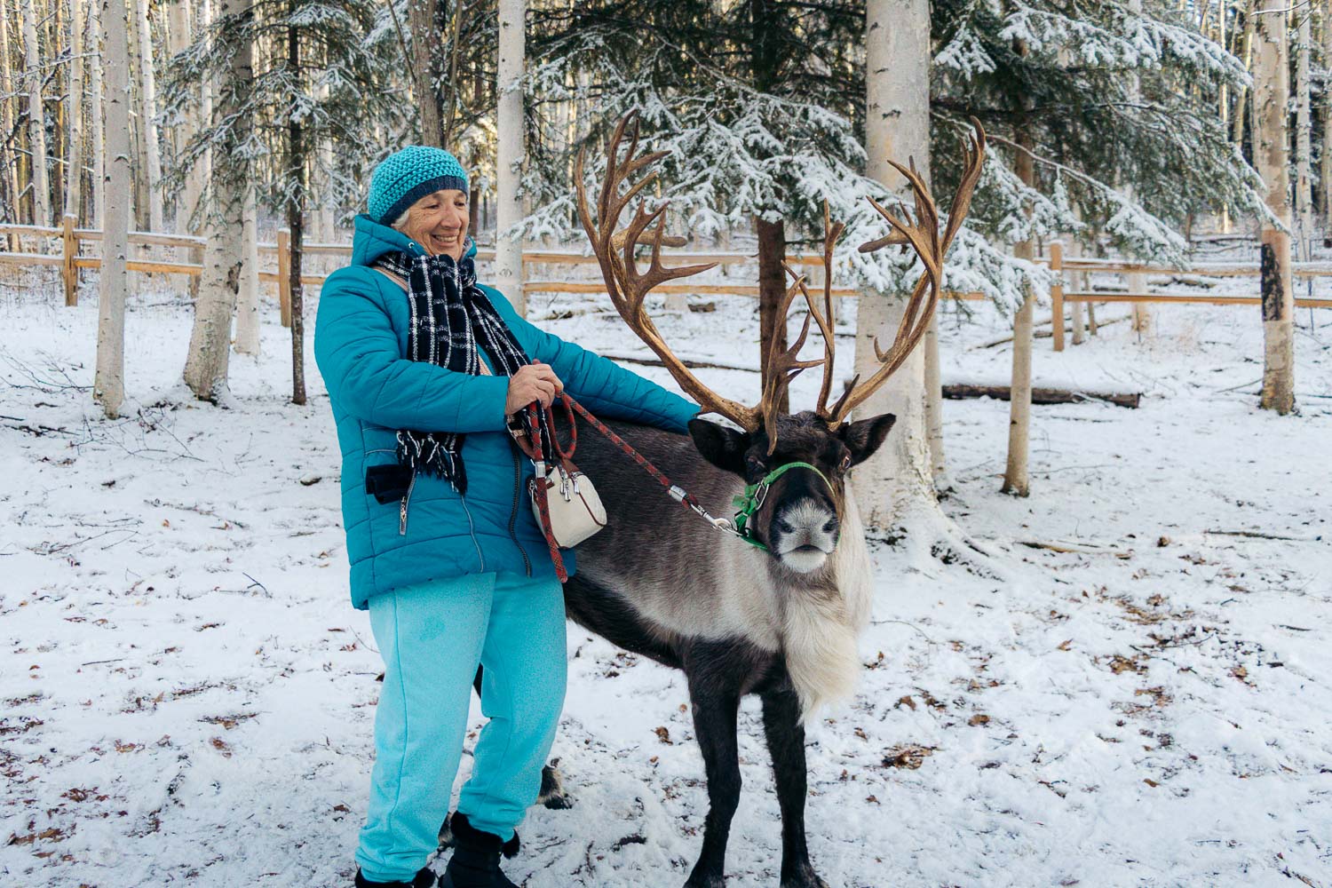 Running Reindeer Ranch | Roads and Destinations