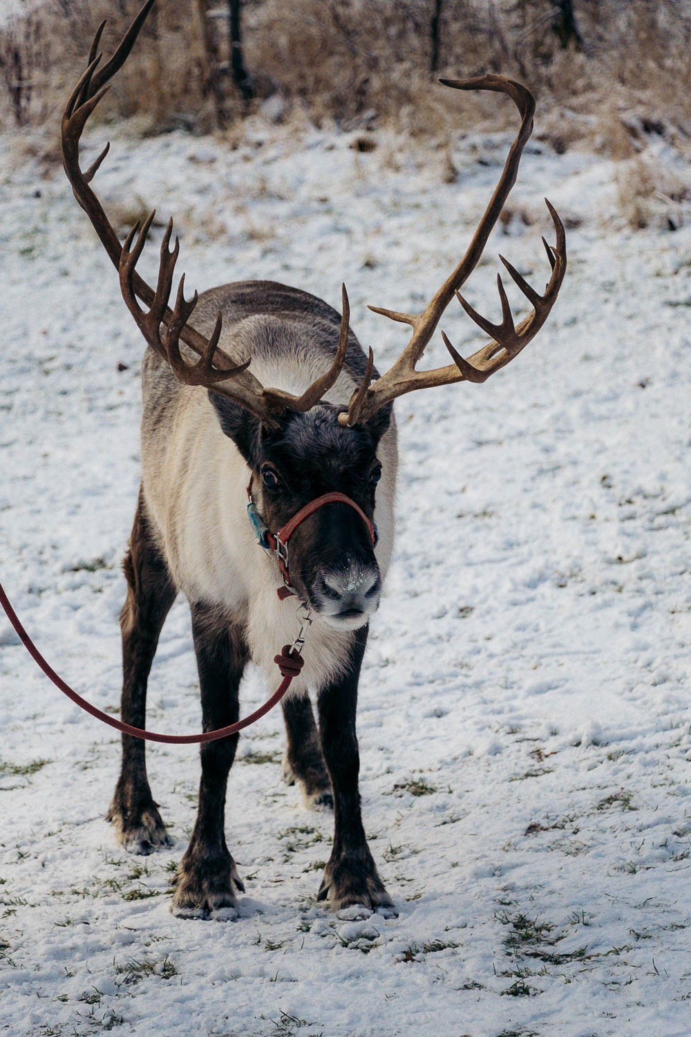 Fairbanks | Roads and Destinations